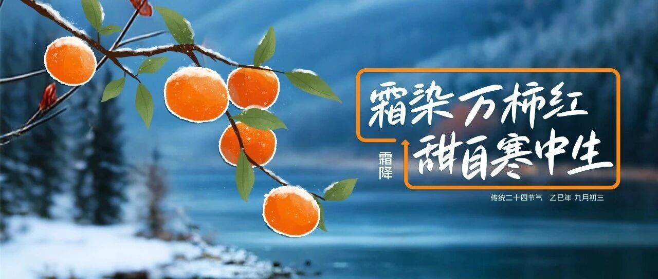 霜降|霜色已至，正是掛霜成金的季節(jié)
